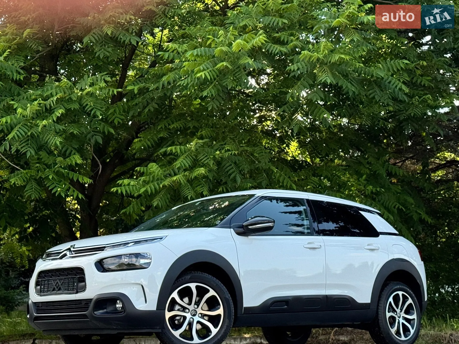 2019 Citroen C4 Cactus - мініатюра 3