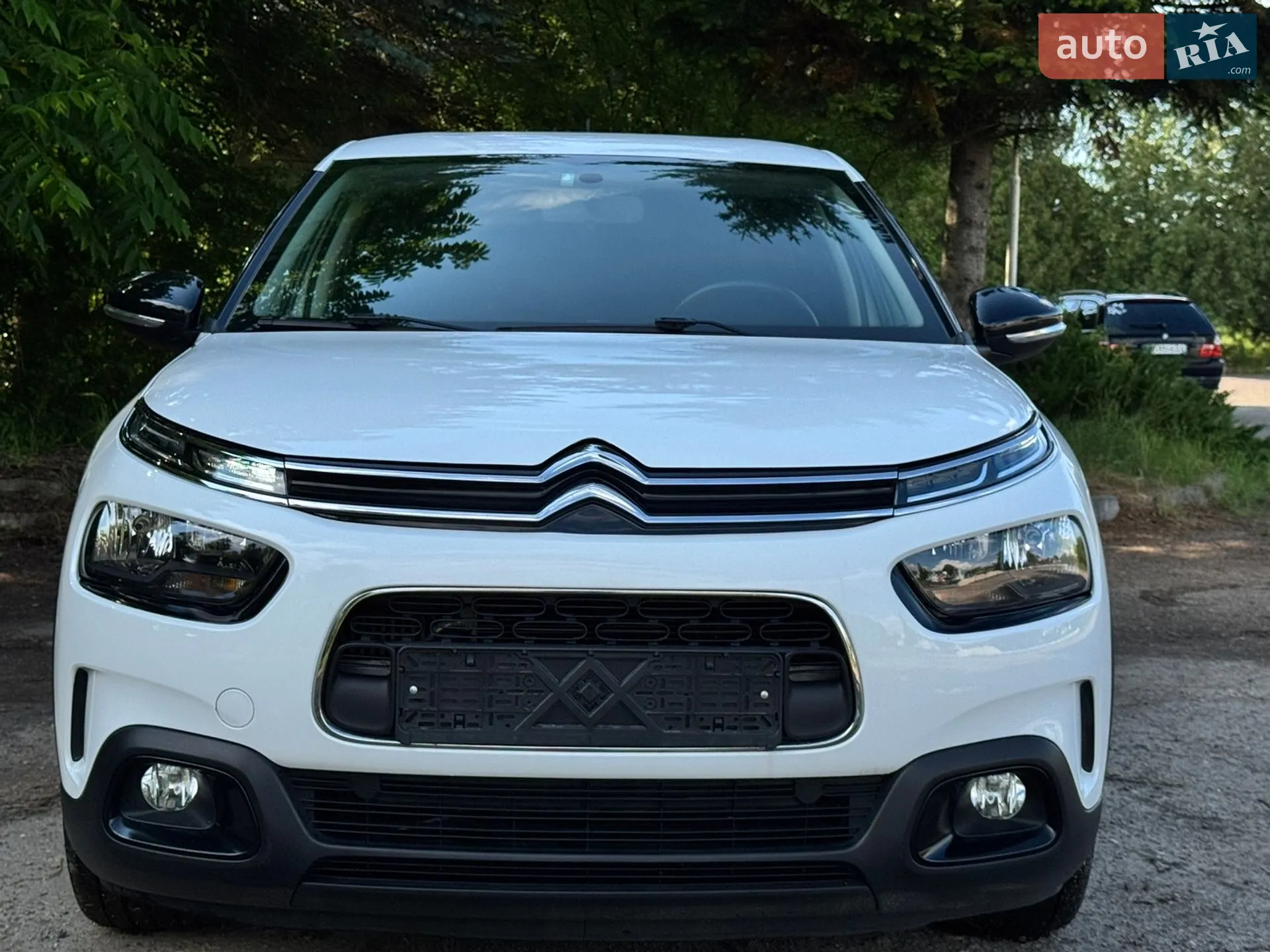 2019 Citroen C4 Cactus - мініатюра 11
