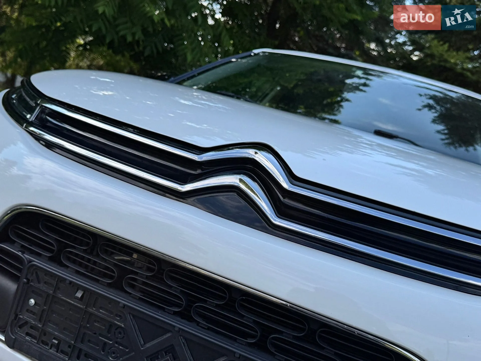 2019 Citroen C4 Cactus - мініатюра 16