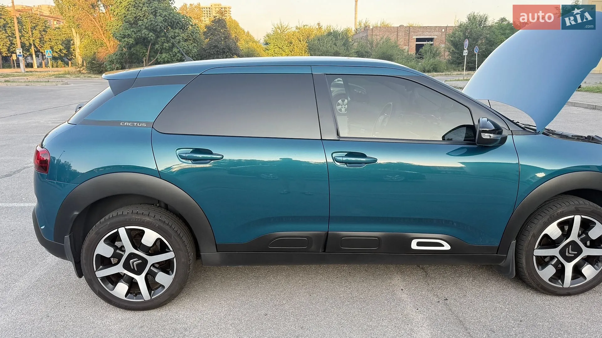 2019 Citroen C4 Cactus - мініатюра 7