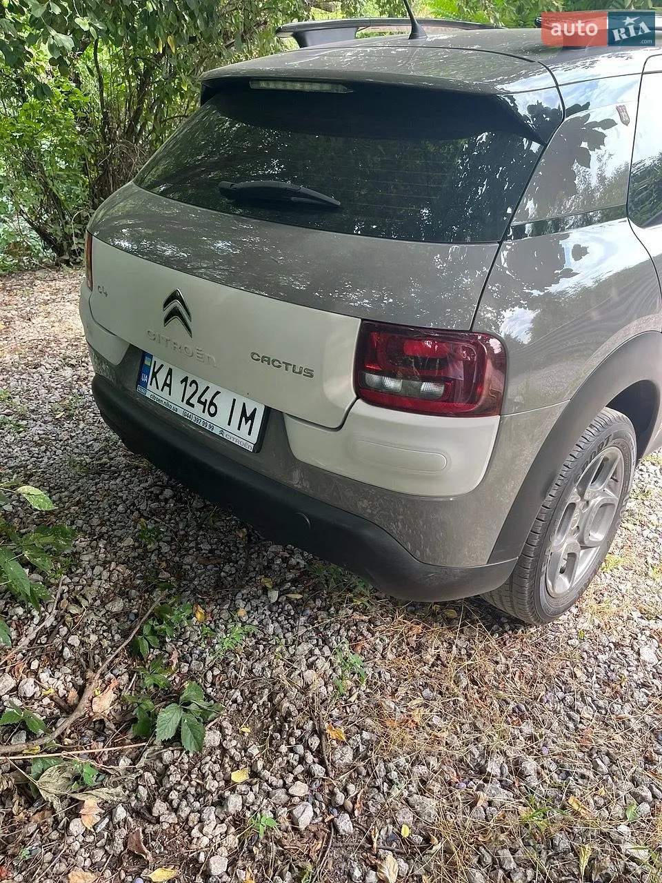 2016 Citroen C4 Cactus - мініатюра 12