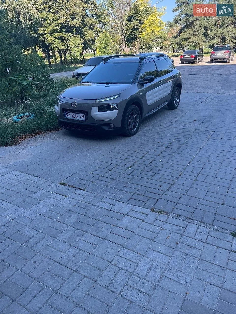 2016 Citroen C4 Cactus - мініатюра 15