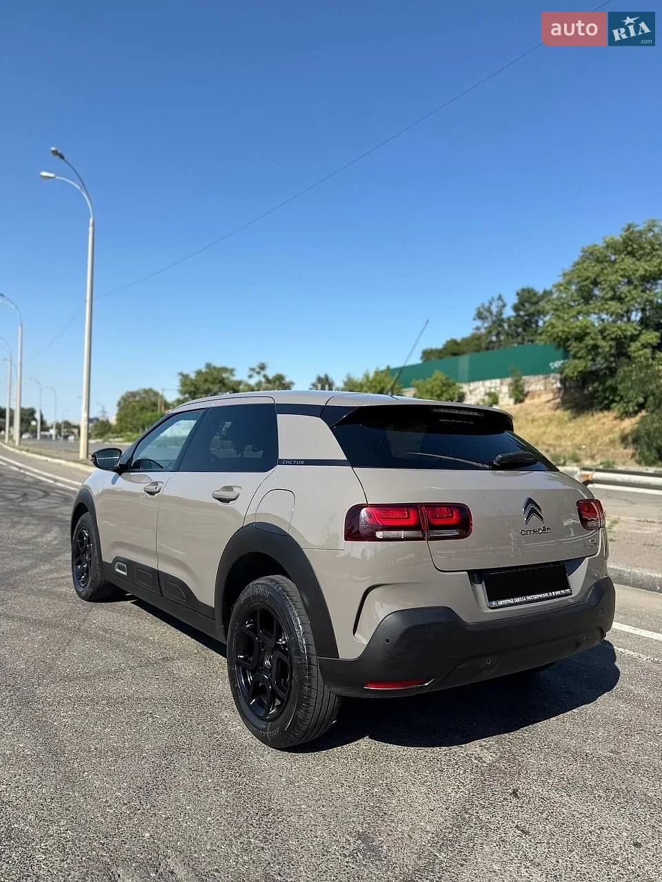 2019 Citroen C4 Cactus - мініатюра 15