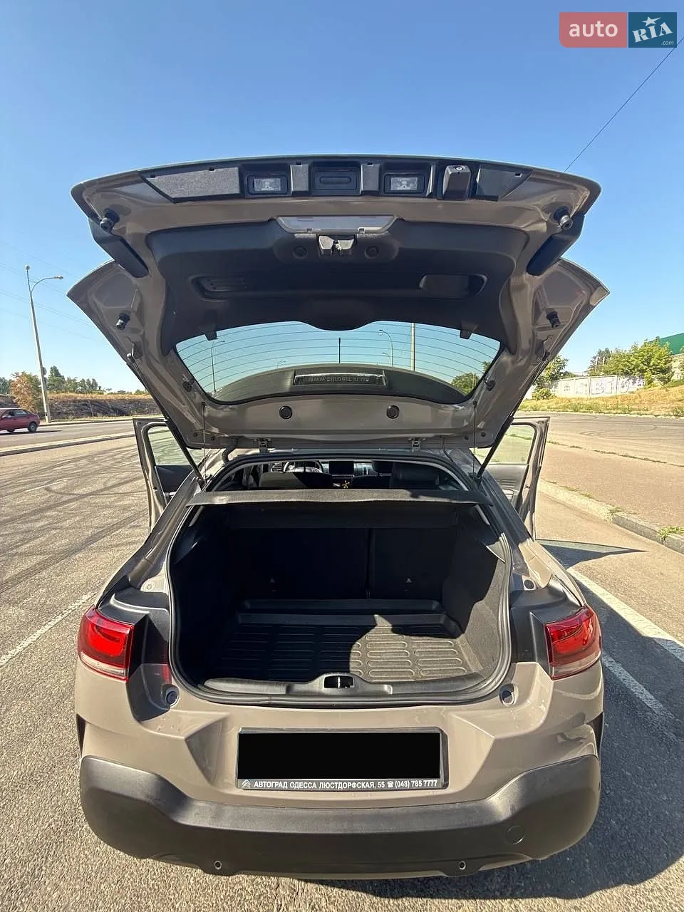2019 Citroen C4 Cactus - мініатюра 14