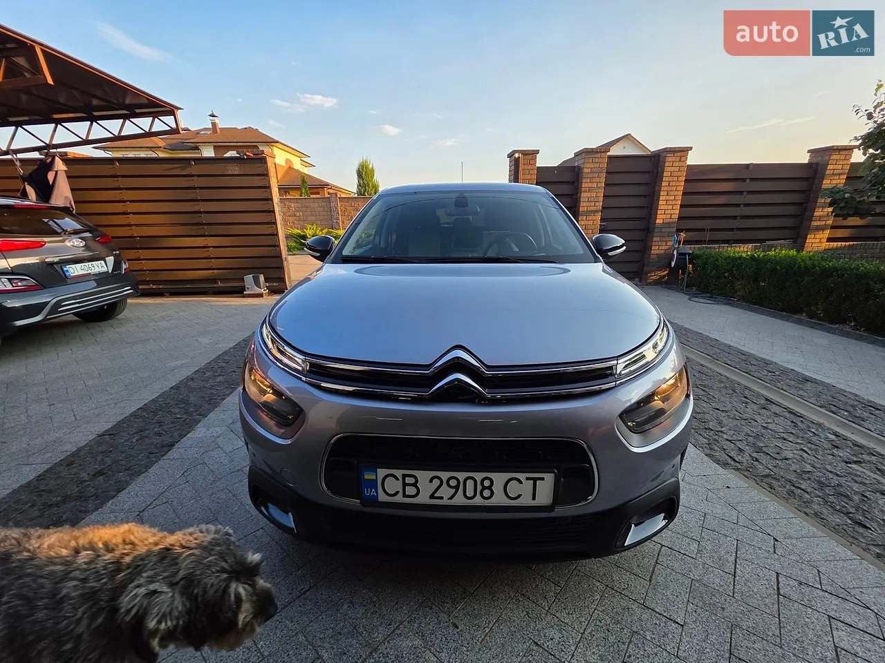 2019 Citroen C4 Cactus - мініатюра 23