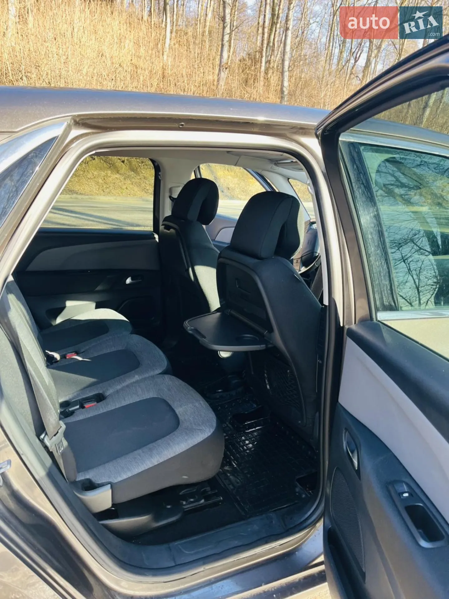 2017 Citroen C4 Picasso - мініатюра 11