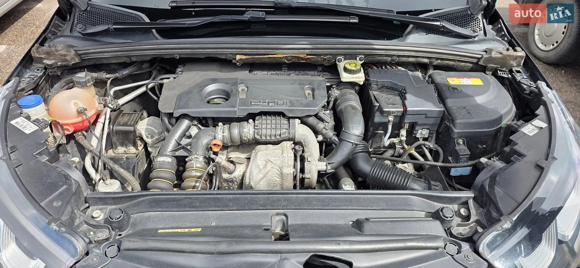 2011 Citroen C4 - мініатюра 7