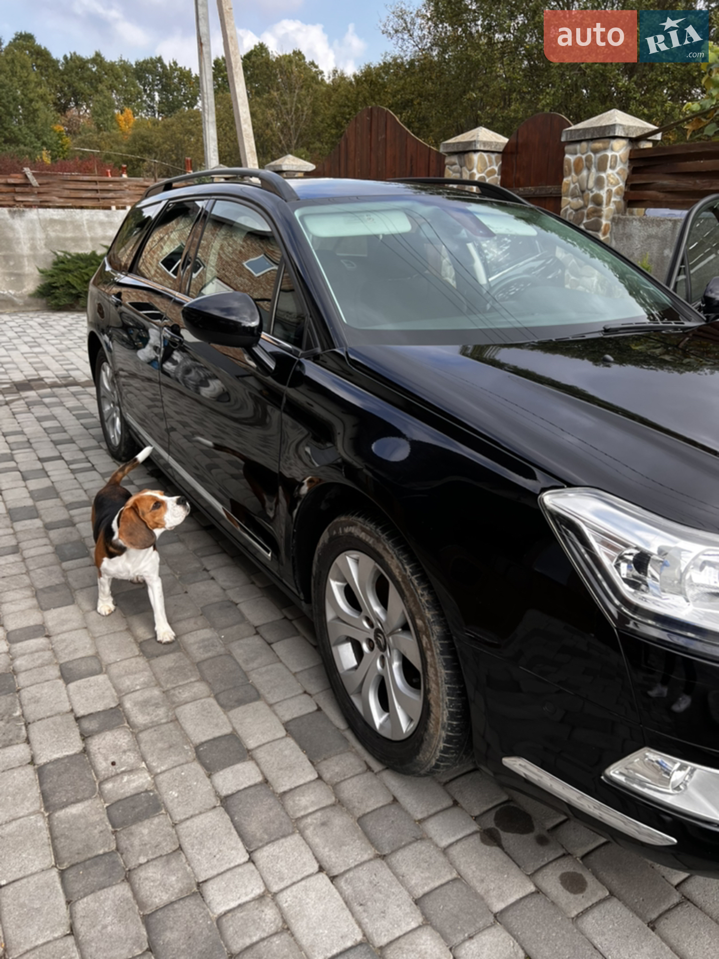 2013 Citroen C5 - мініатюра 13