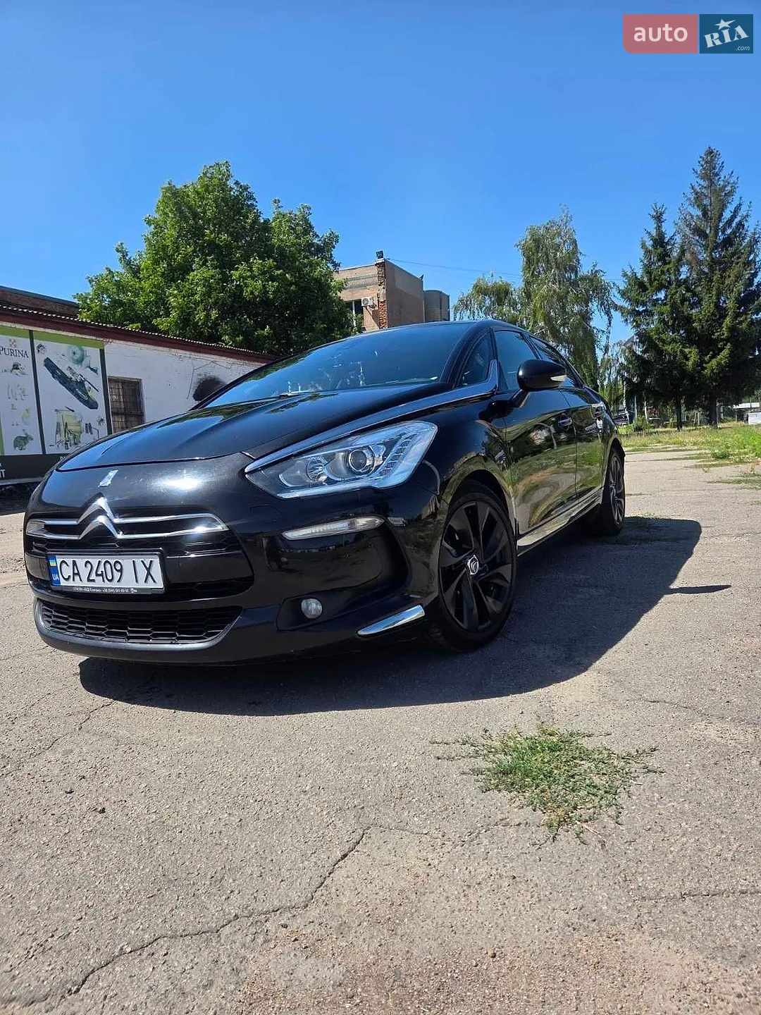 2013 Citroen DS5 - мініатюра 4