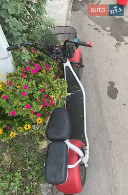 Мини спорт Citycoco Ride 2020 в 