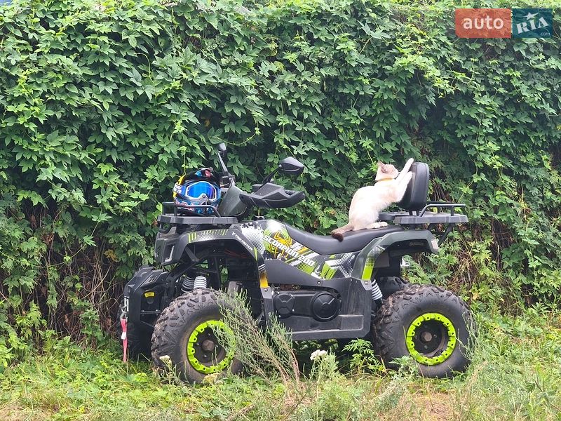 Квадроцикл  утилитарный Comman Scorpion 200cc 2023 в Змиеве