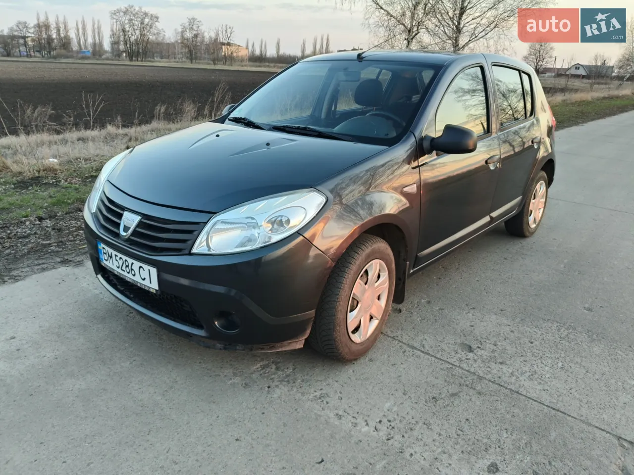2010 Dacia Sandero - мініатюра 16
