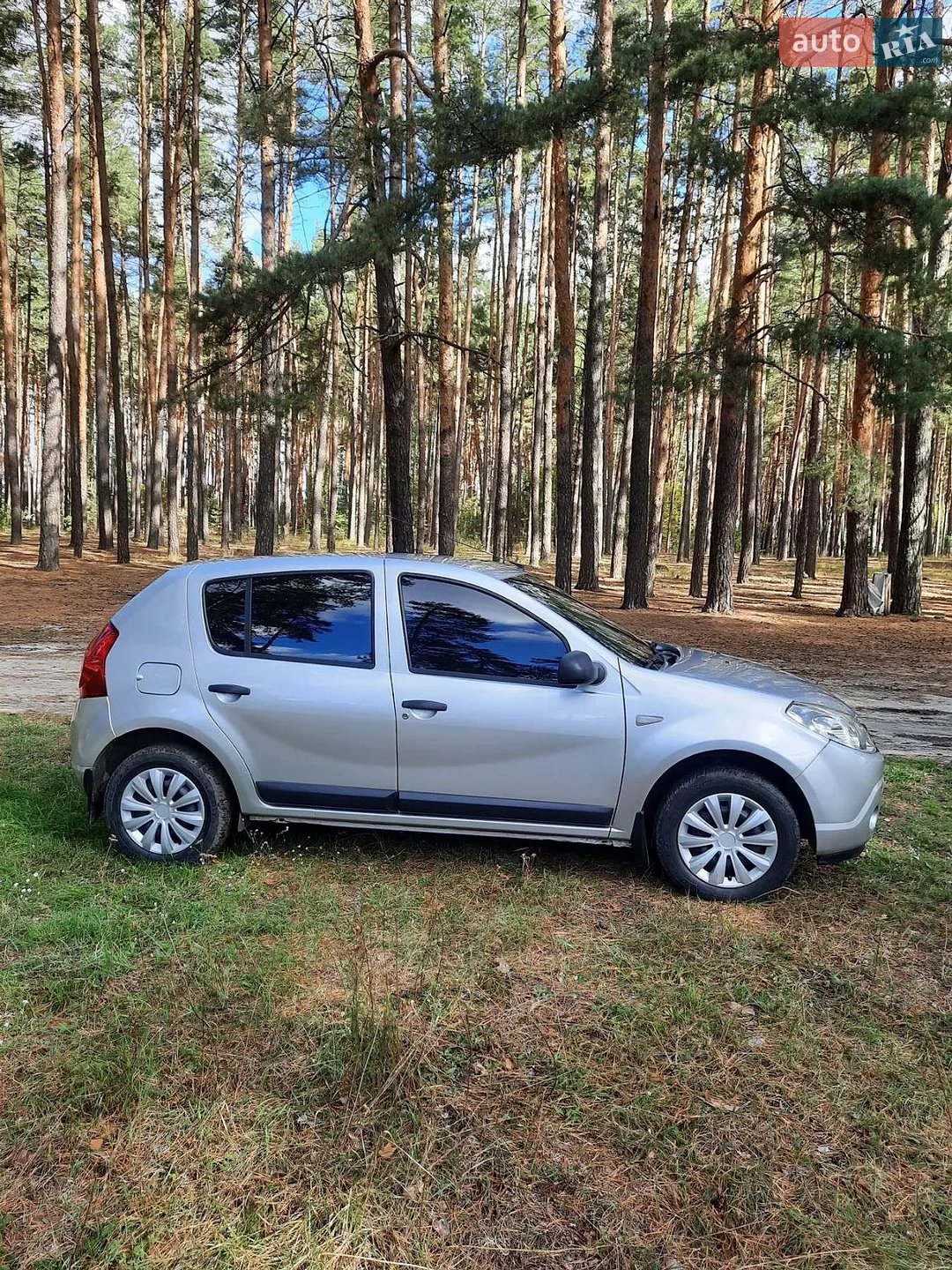 2010 Dacia Sandero - мініатюра 3