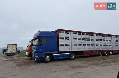 Для перевозки животных DAF XF 105 2008 в Первомайске