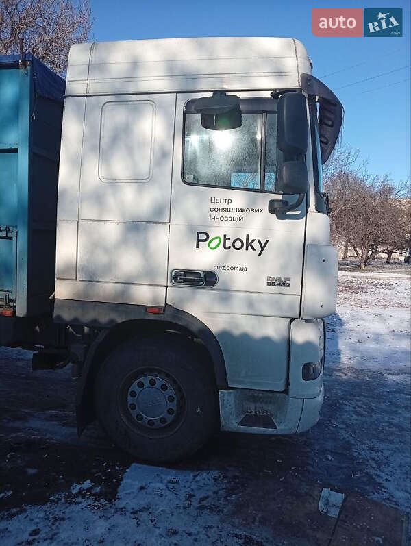 Контейнеровоз DAF XF 95 2004 в Днепре фото 3 Контейнеровоз DAF XF 95 2004 в Днепре