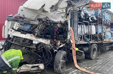 Тягач DAF XF 95 2002 в Бурштині