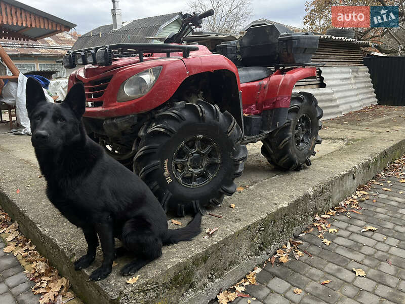 Квадроцикл  утилитарный DINLI T-Rex 2007 в Косове