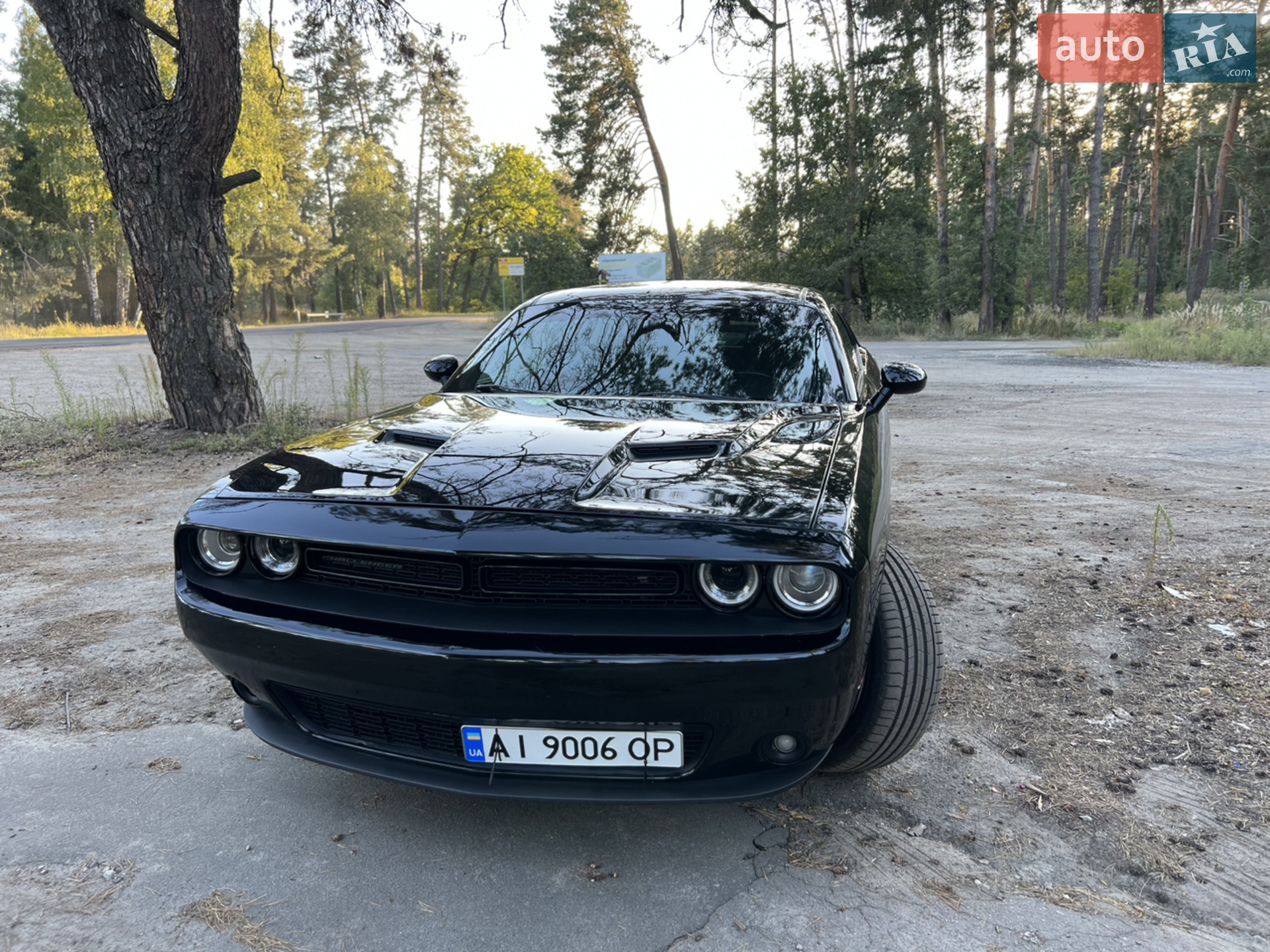 2016 Dodge Challenger - мініатюра 4