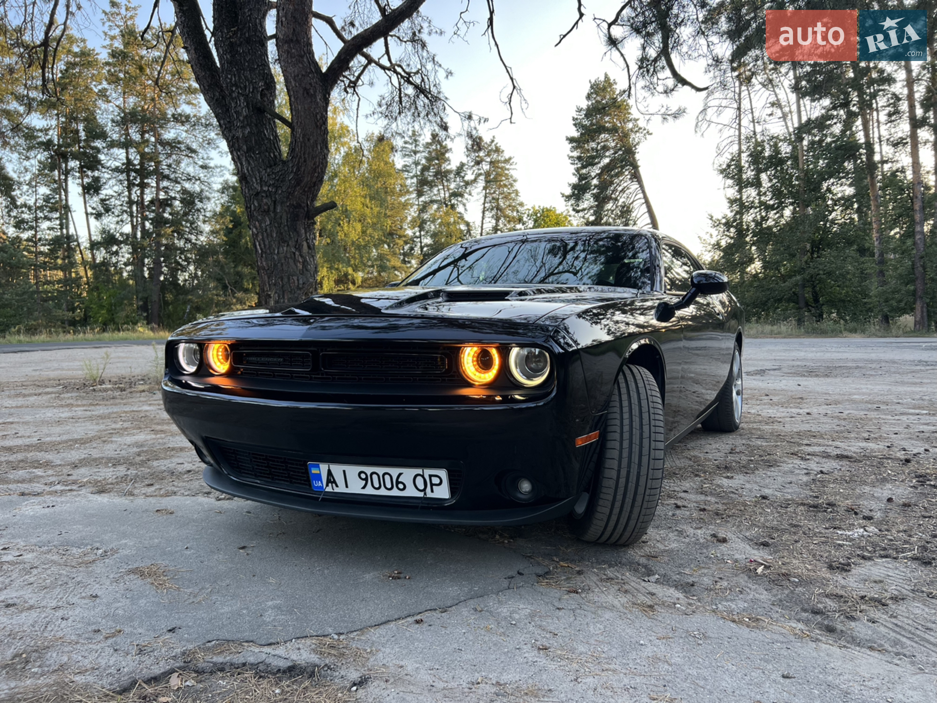 2016 Dodge Challenger - мініатюра 3