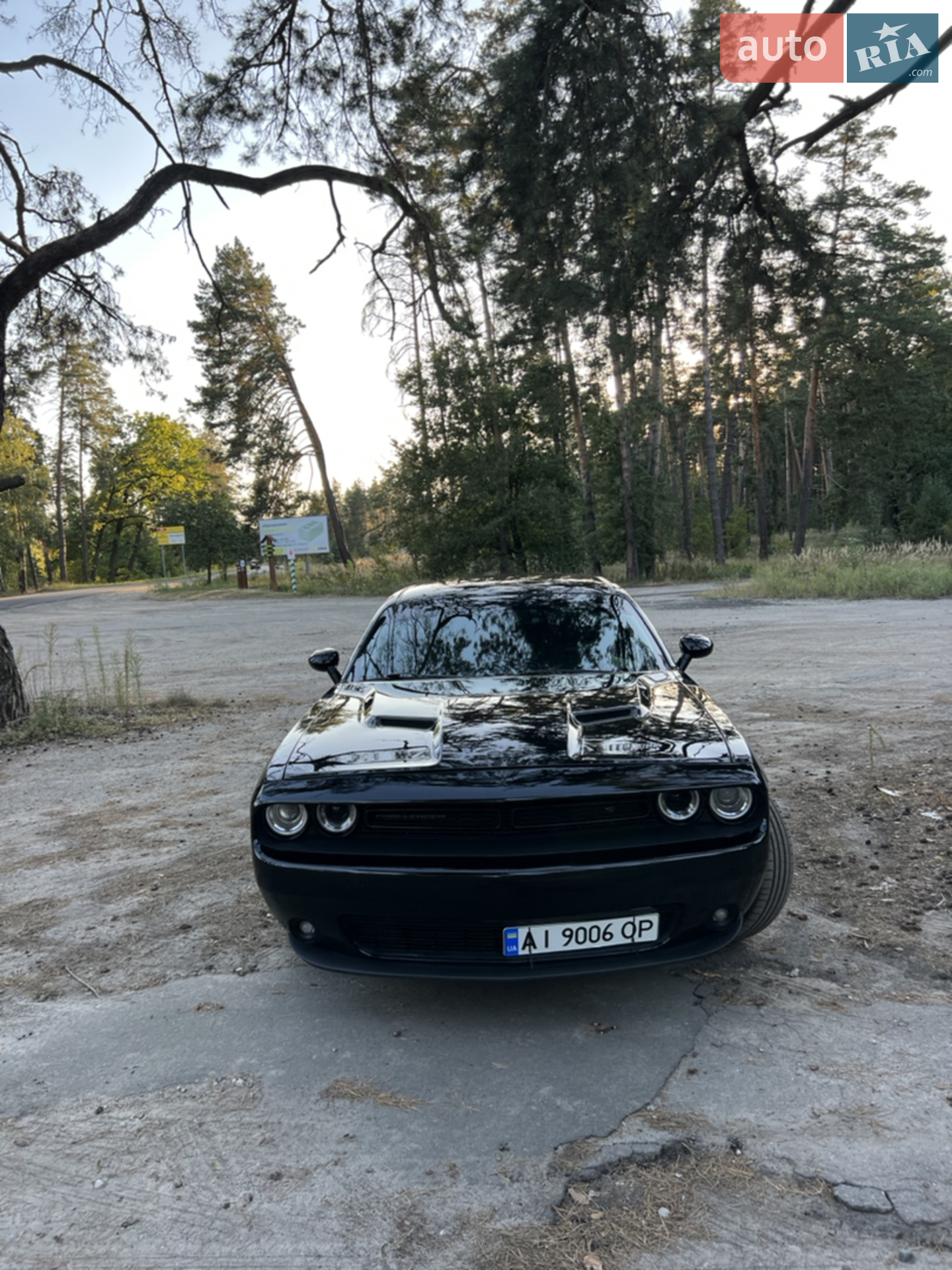 2016 Dodge Challenger - мініатюра 6
