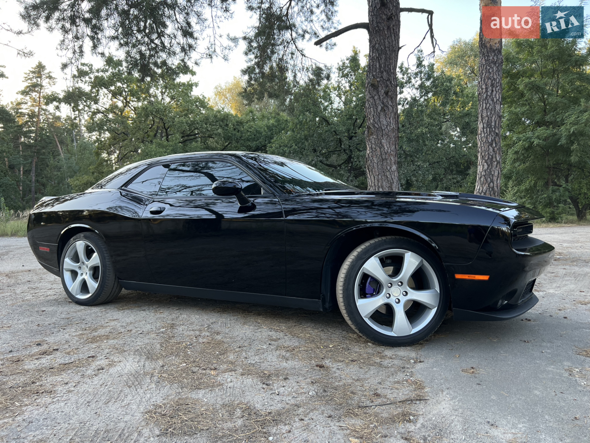 2016 Dodge Challenger - мініатюра 5