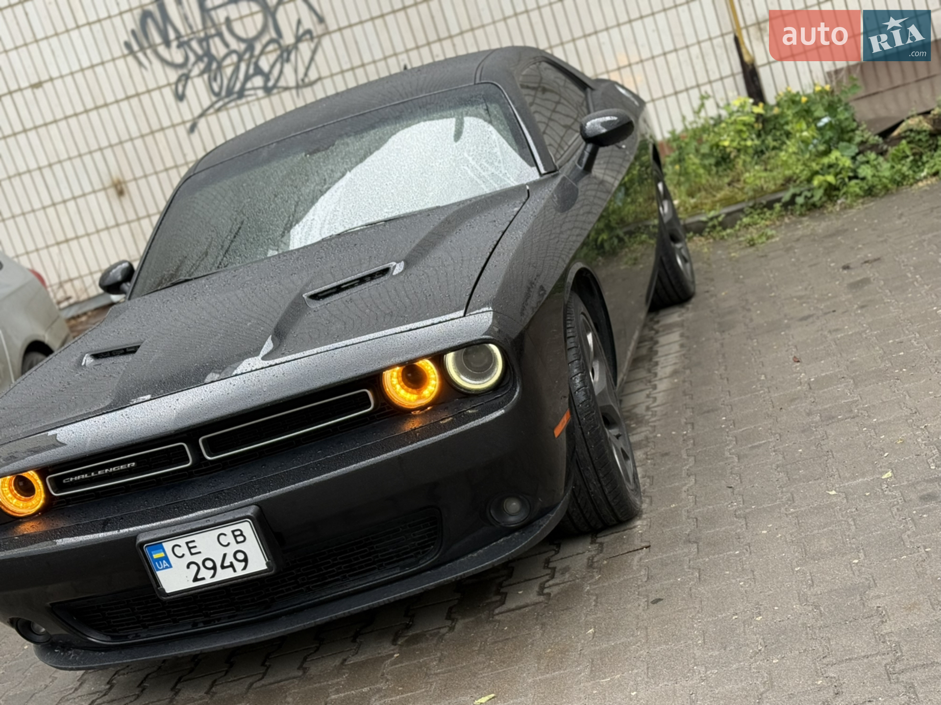 2015 Dodge Challenger - мініатюра 3