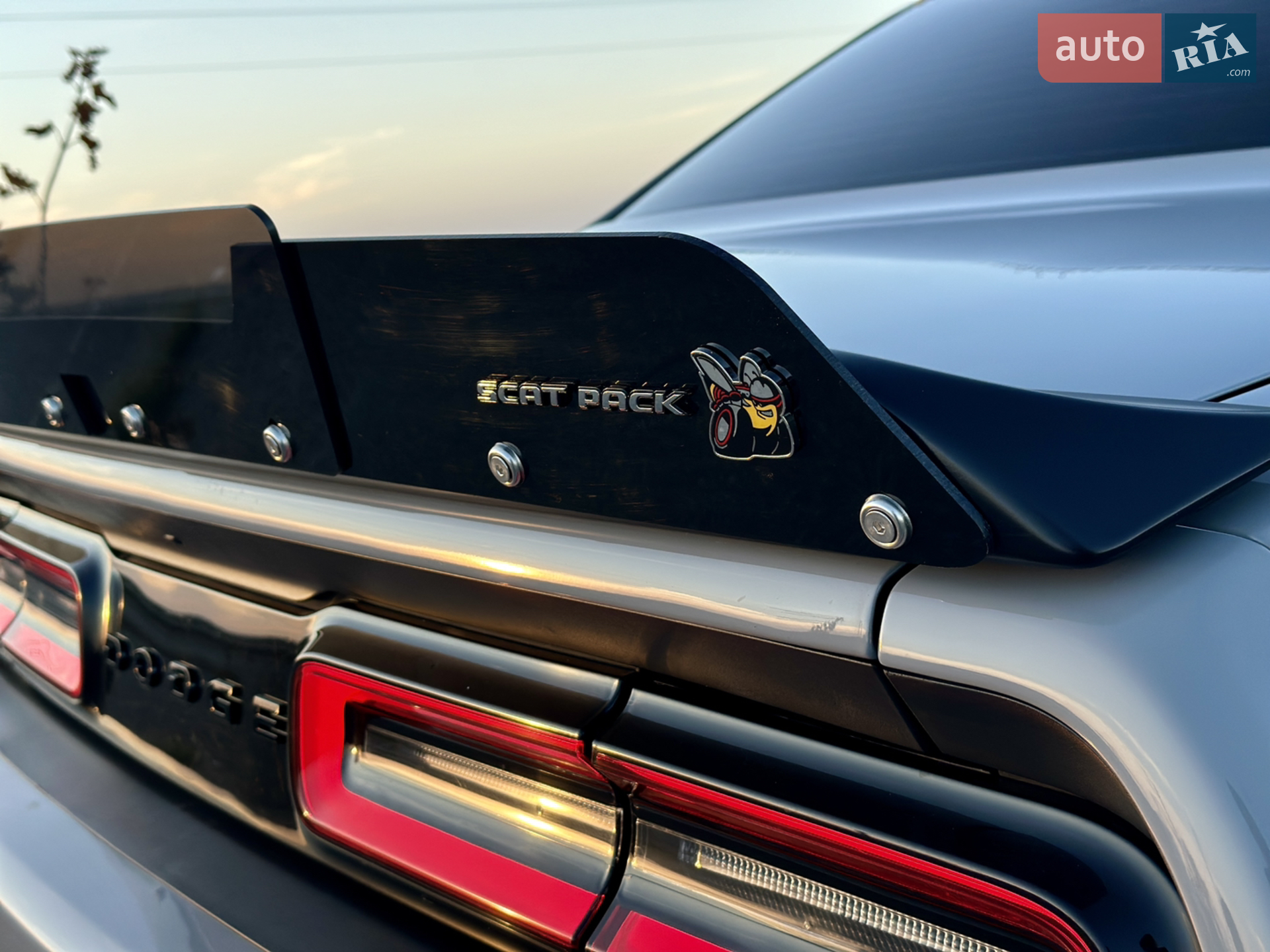 2021 Dodge Challenger - мініатюра 13