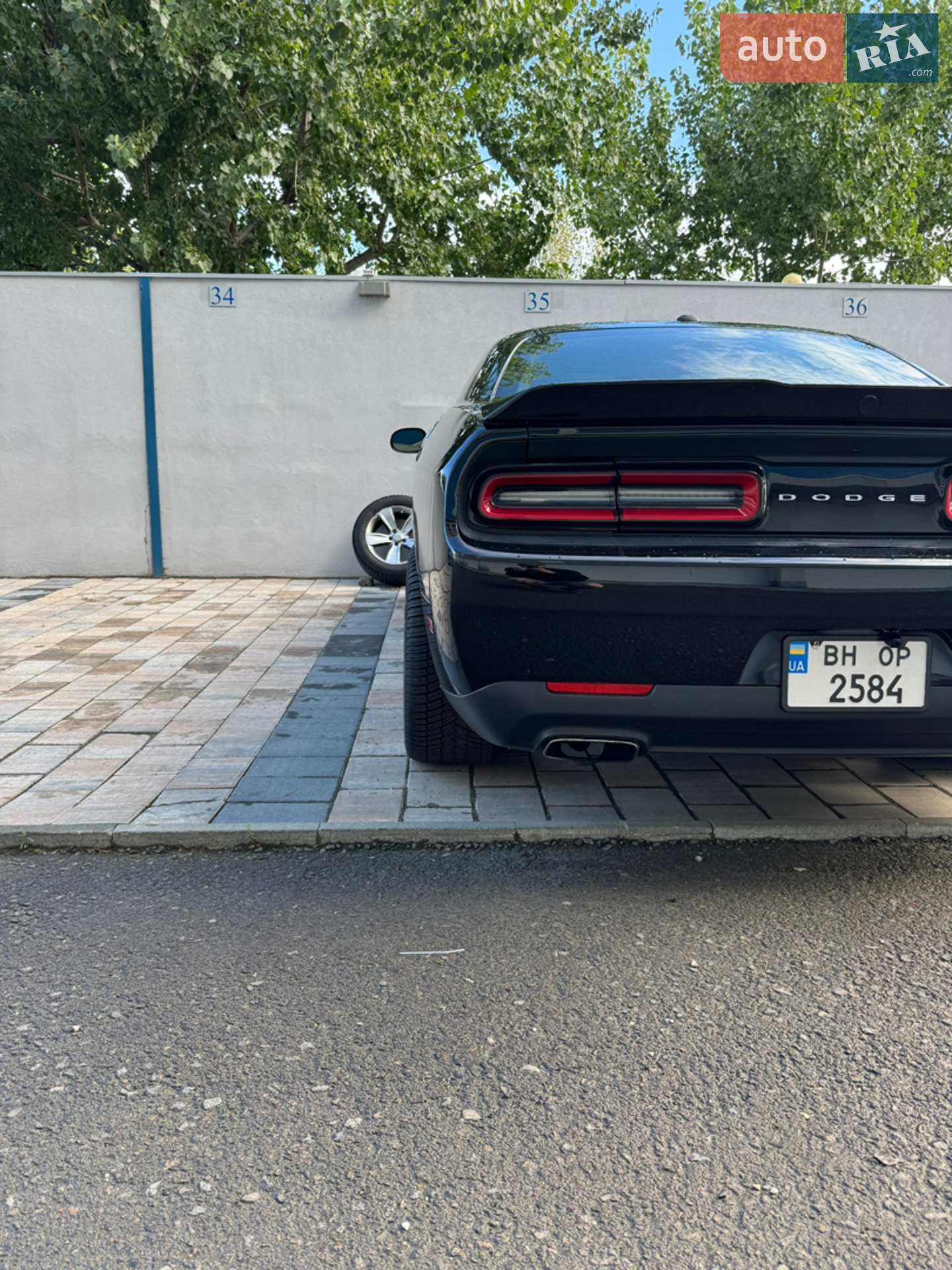 2014 Dodge Challenger - мініатюра 8