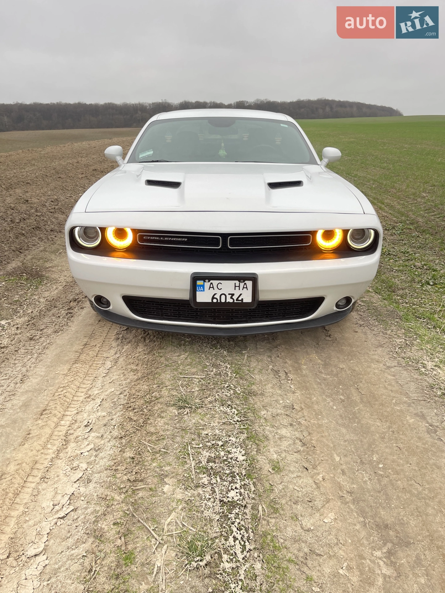 2016 Dodge Challenger - фото 1