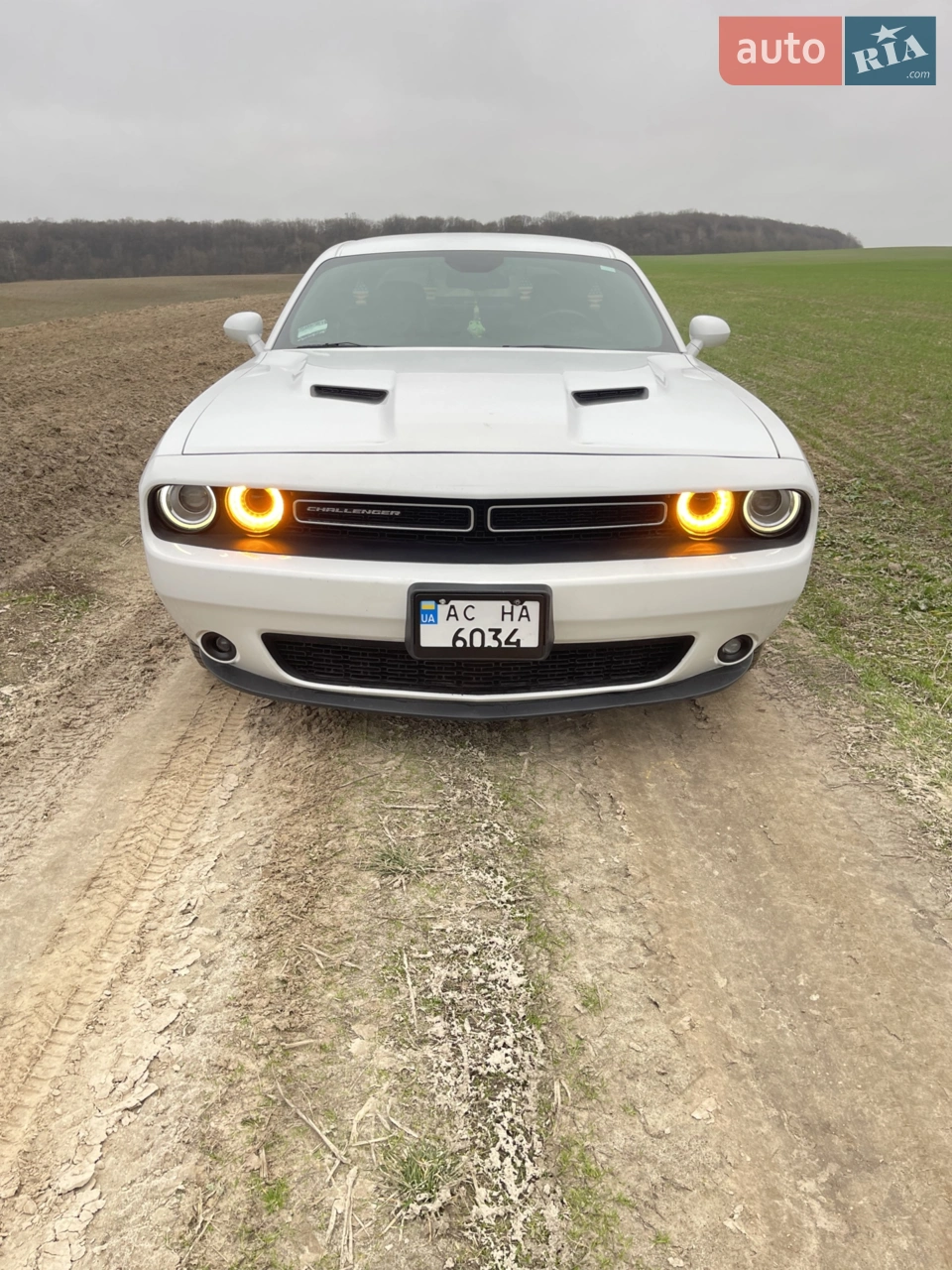 2015 Dodge Challenger - мініатюра 14