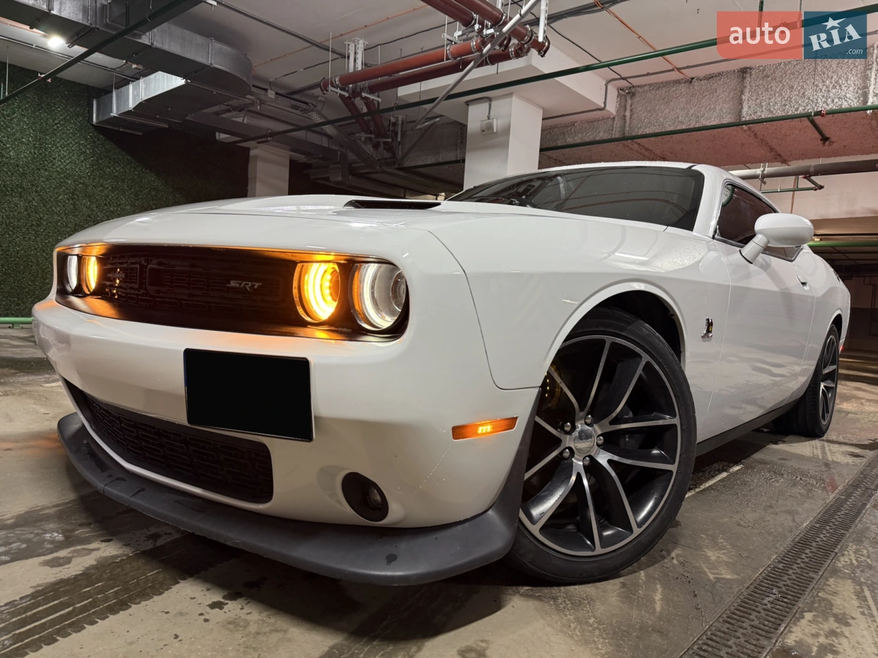 2015 Dodge Challenger - мініатюра 27