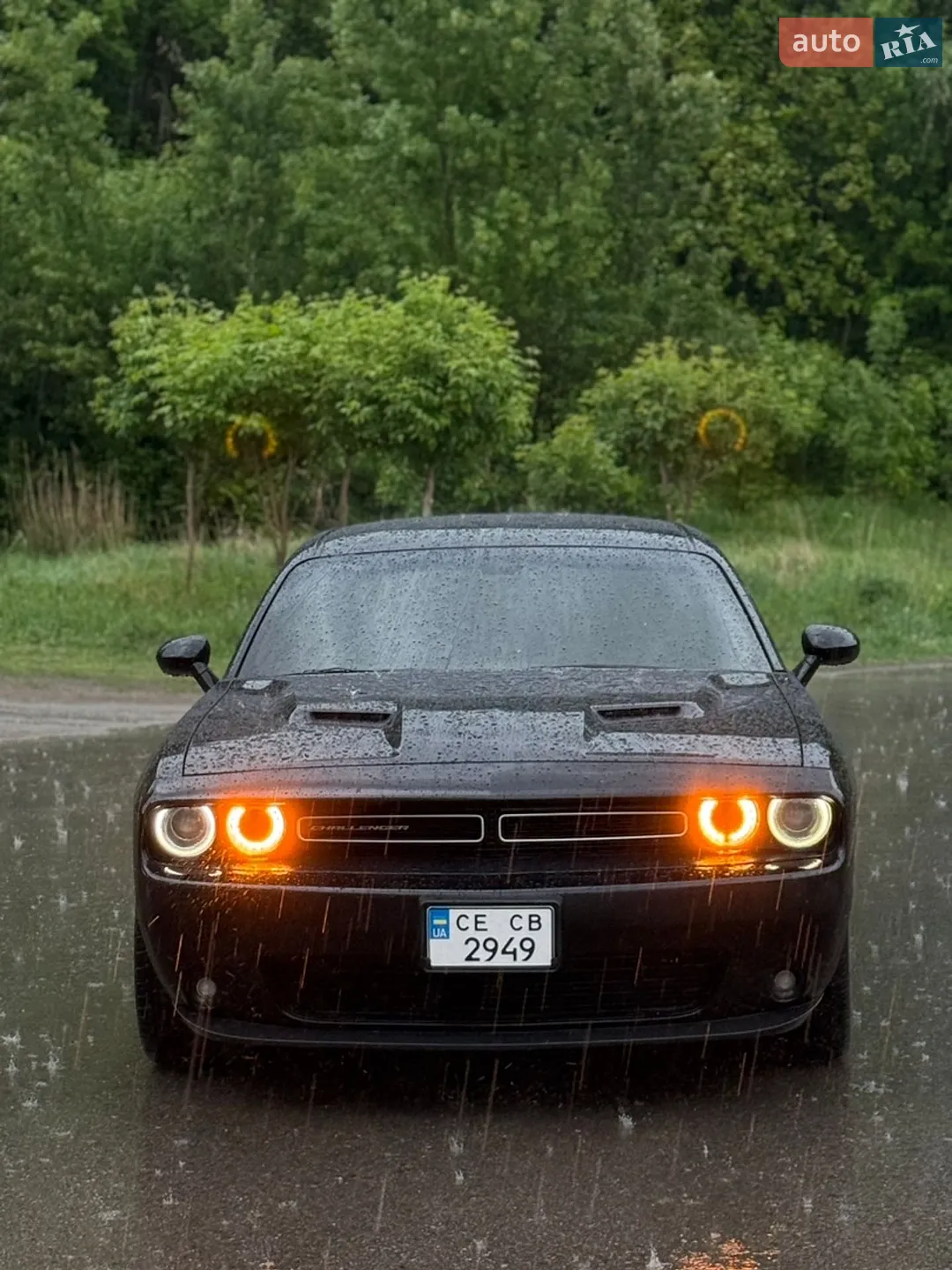 2015 Dodge Challenger - мініатюра 4