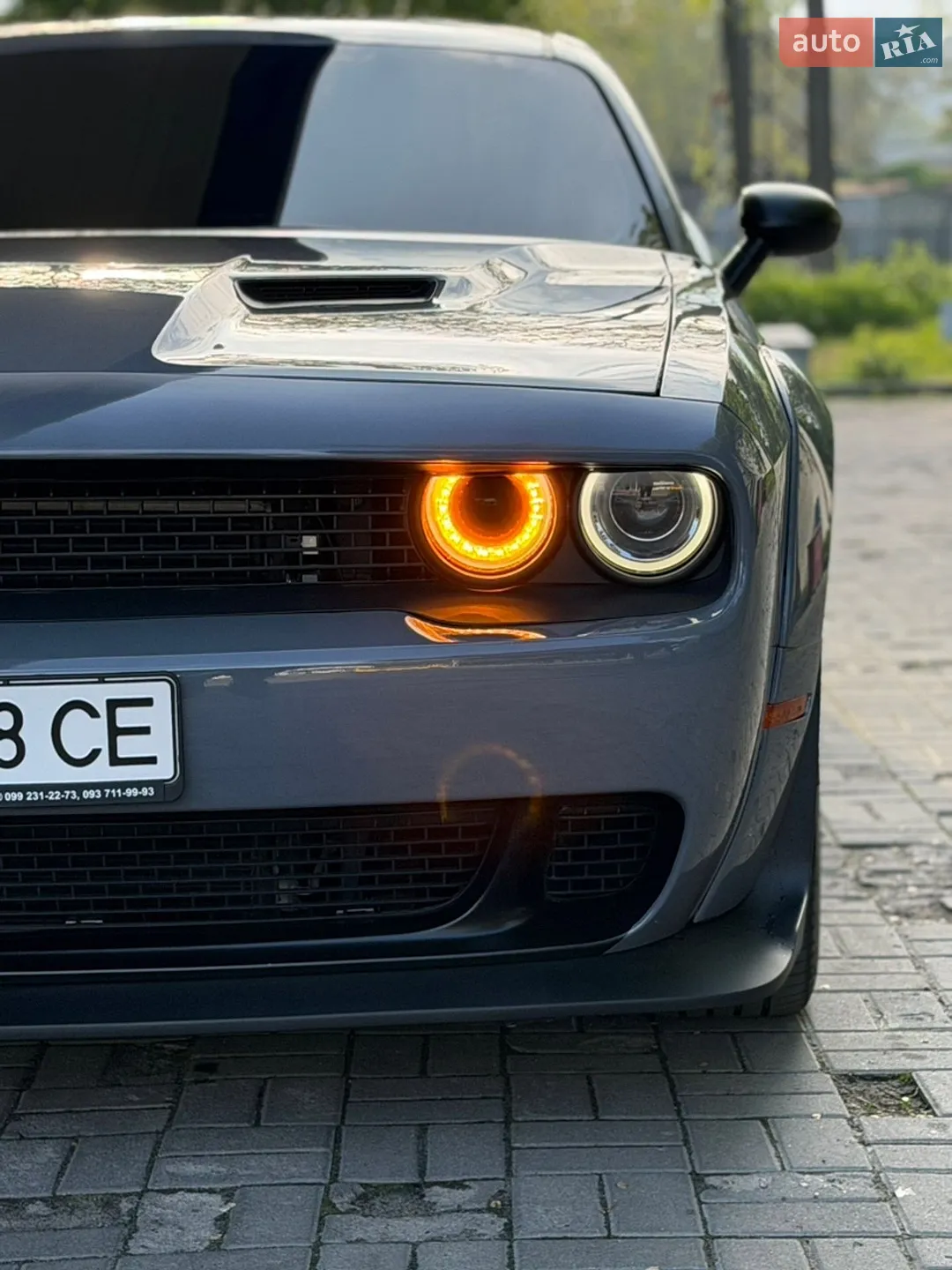 2016 Dodge Challenger - мініатюра 6