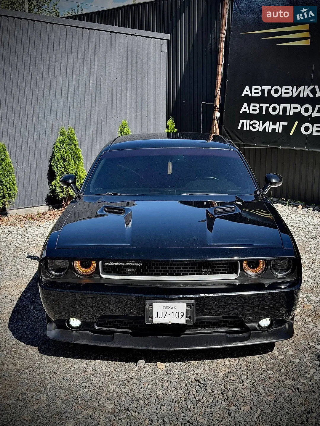 2014 Dodge Challenger - мініатюра 2