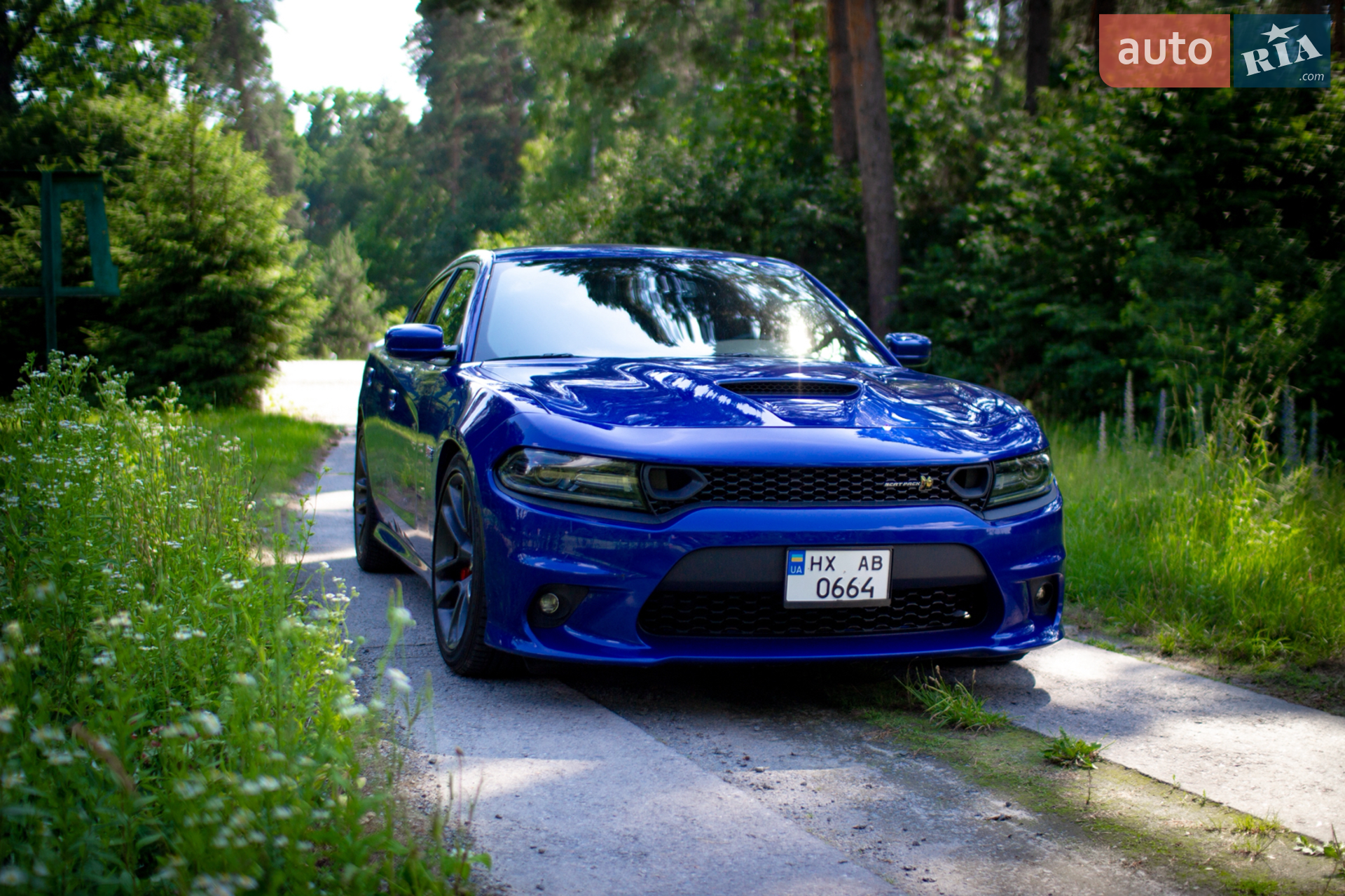 2021 Dodge Charger - мініатюра 4