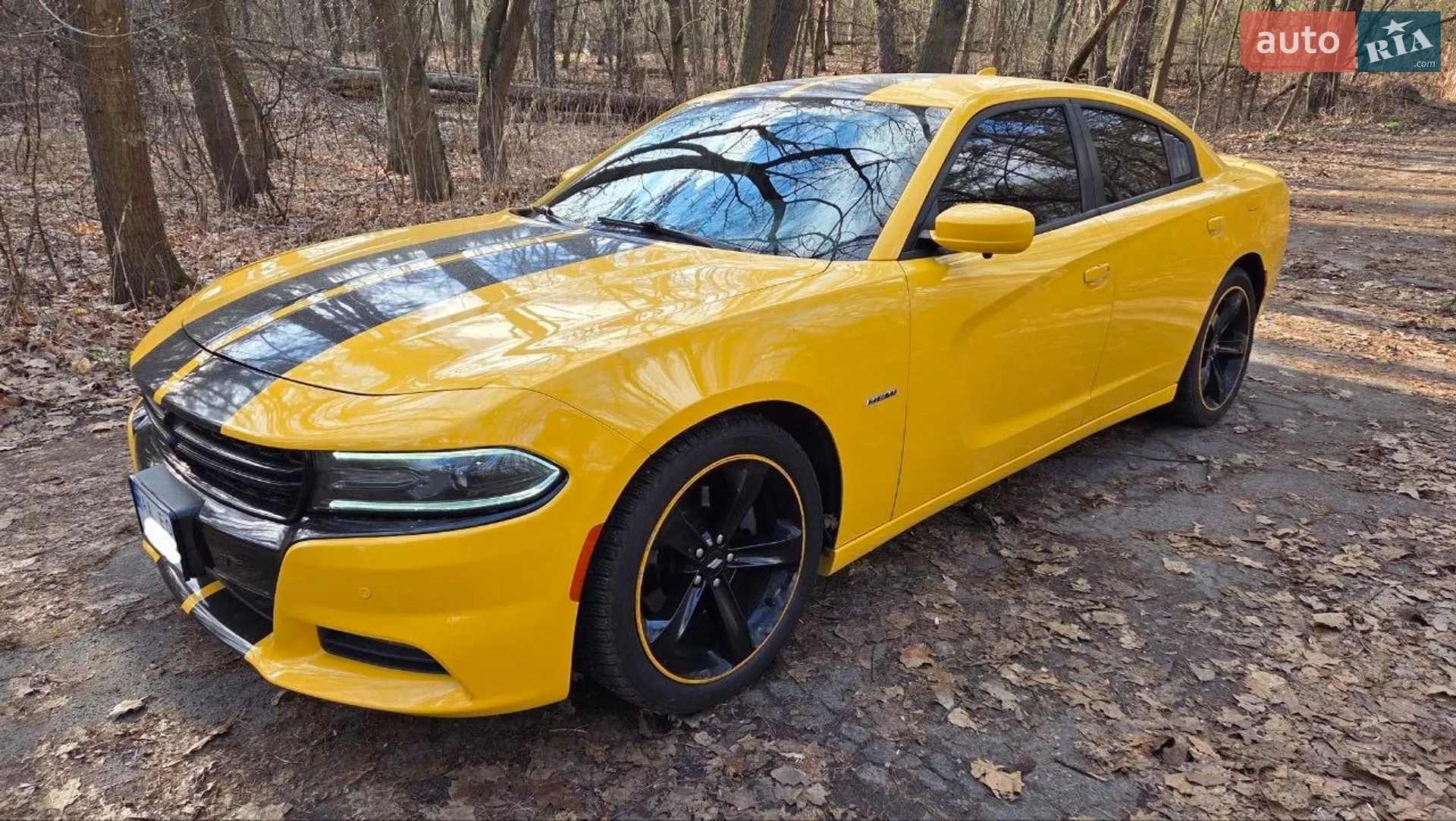 2017 Dodge Charger - фото 1