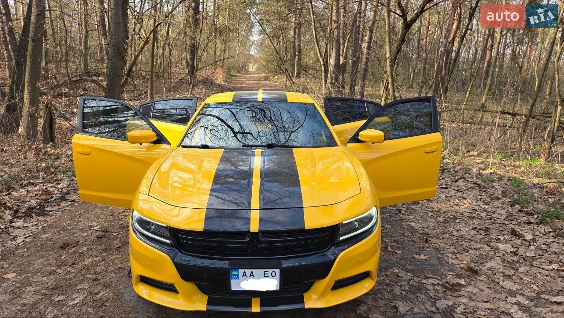 2017 Dodge Charger - мініатюра 3