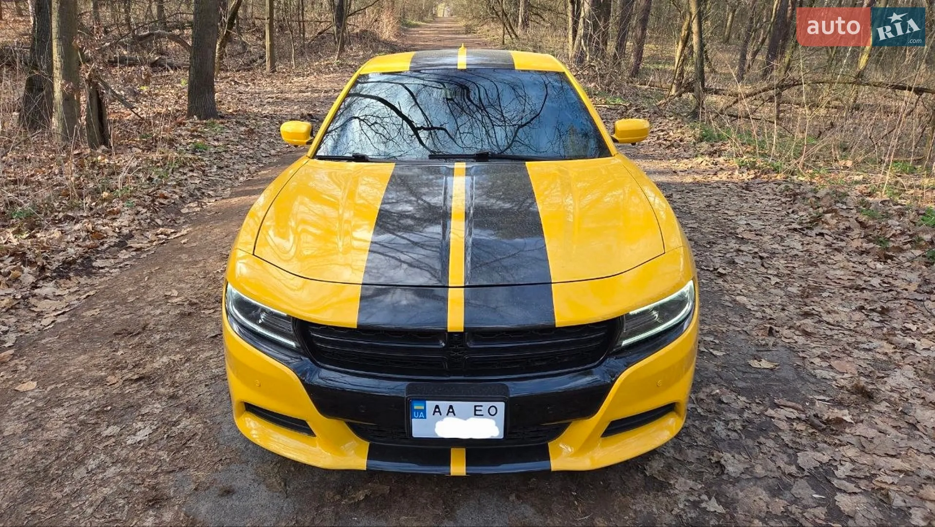 2017 Dodge Charger - мініатюра 2