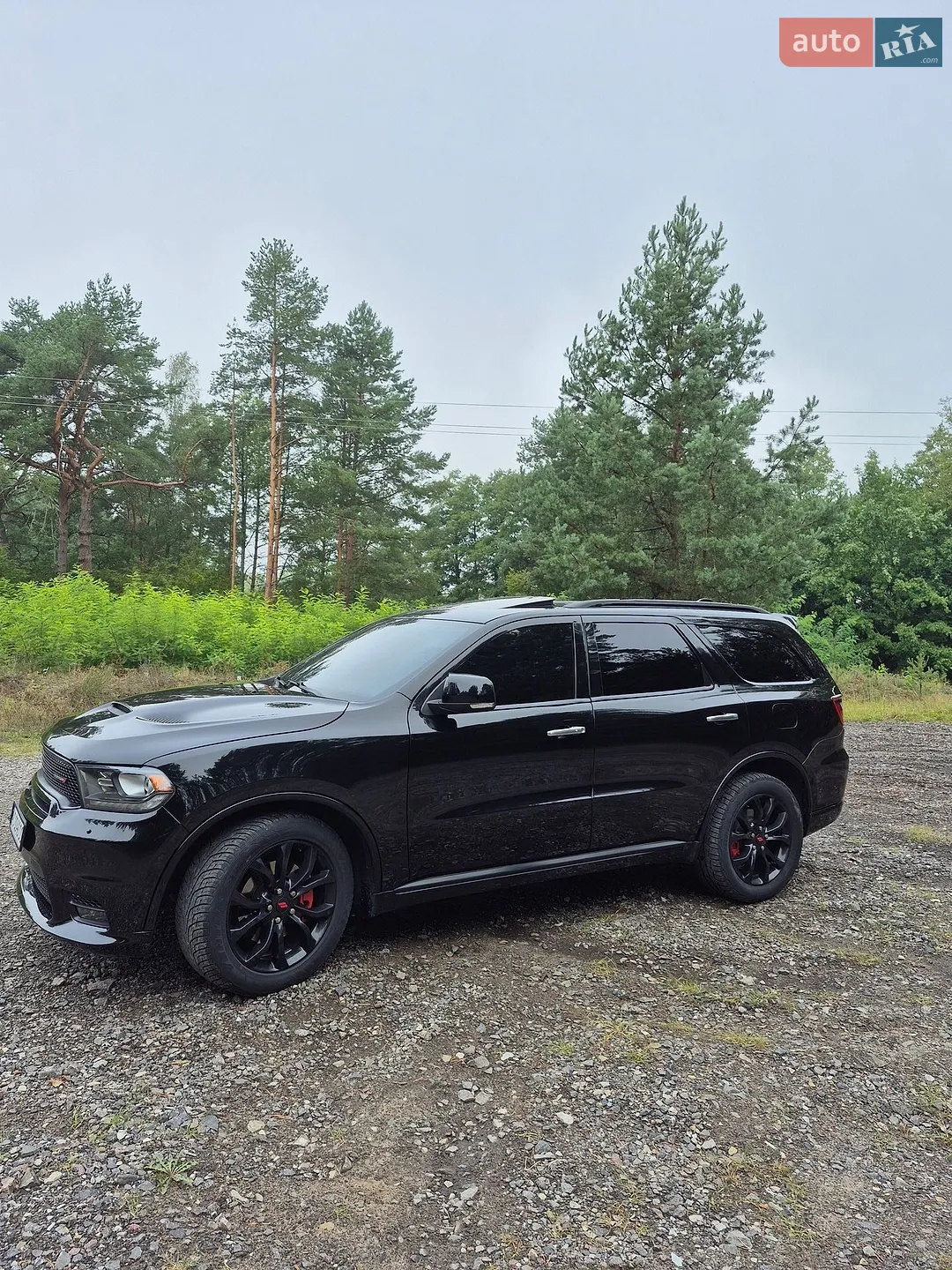 2016 Dodge Durango - мініатюра 13