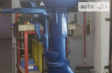 Катер Evinrude 20 hp 1979 в 