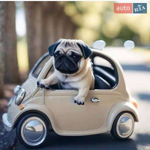 Хэтчбек Fiat 500 2013 в Одессе фото 10 Хэтчбек Fiat 500 2013 в Одессе