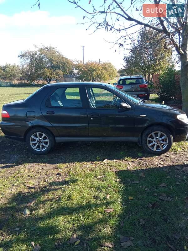 Седан Fiat Albea 2009 в Лубнах