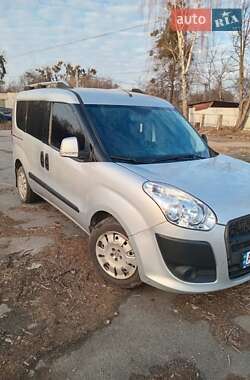 Минивэн Fiat Doblo 2010 в Житомире