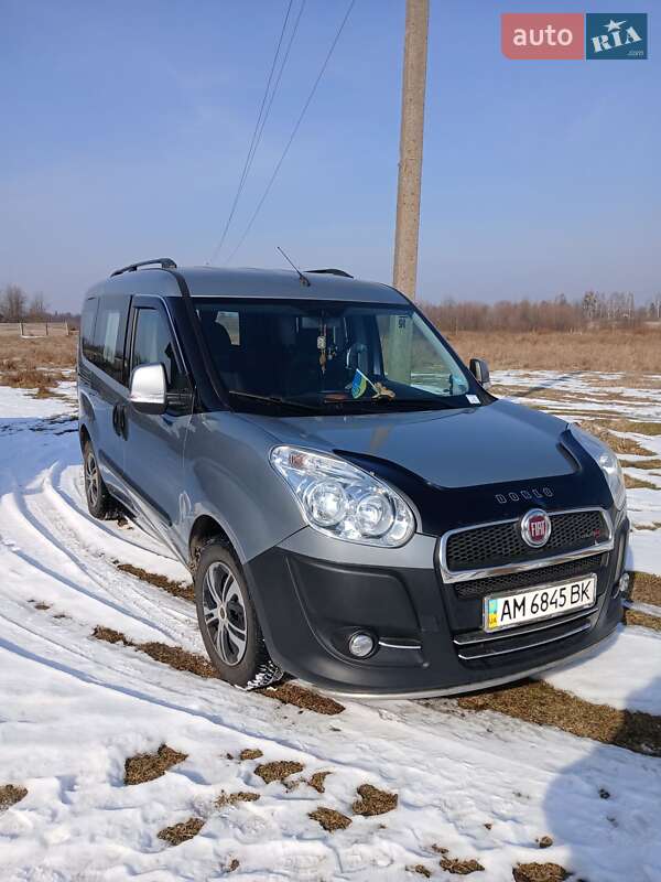 Минивэн Fiat Doblo 2010 в Олевске