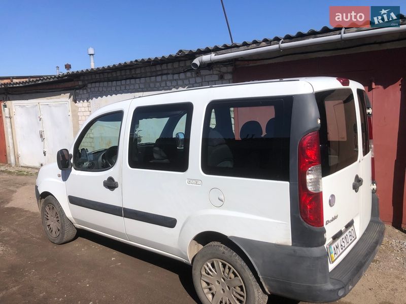 Минивэн Fiat Doblo 2008 в Житомире