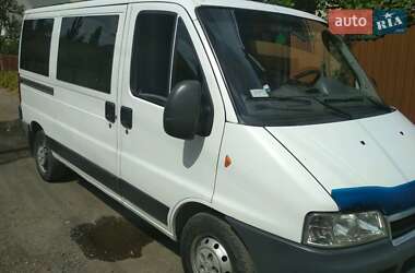 Автобус Fiat Ducato 2006 в Ужгороде