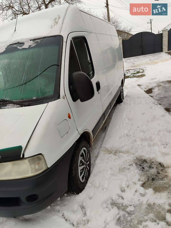Грузовой фургон Fiat Ducato 2006 в Недобоевцах