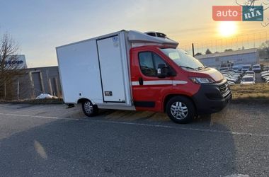 Рефрижератор Fiat Ducato 2021 в Ровно