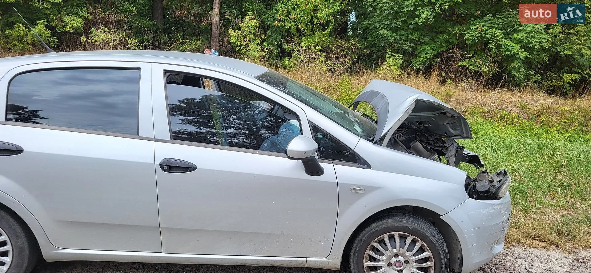2010 Fiat Punto - фото 1