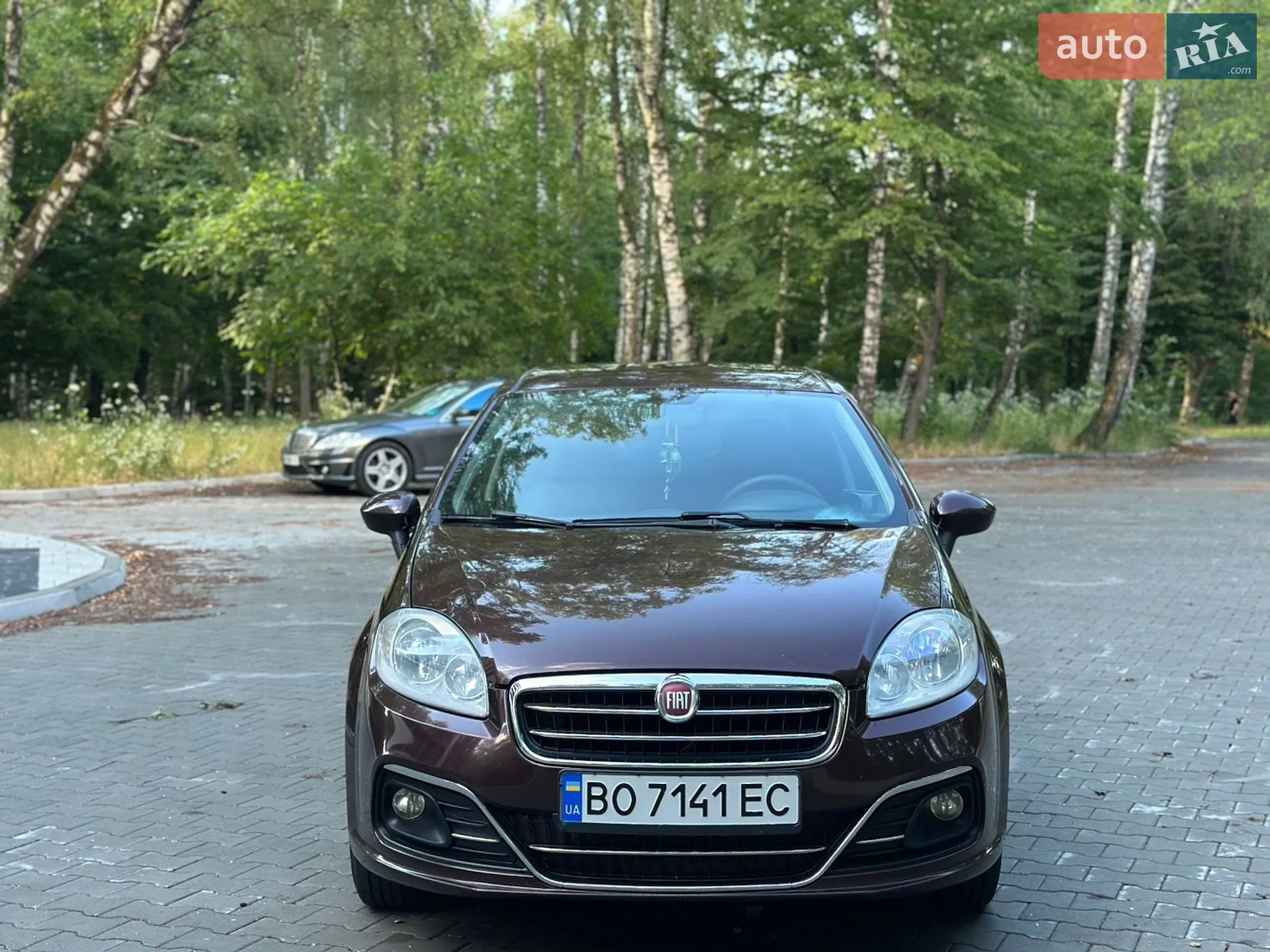 2013 Fiat Linea - мініатюра 4